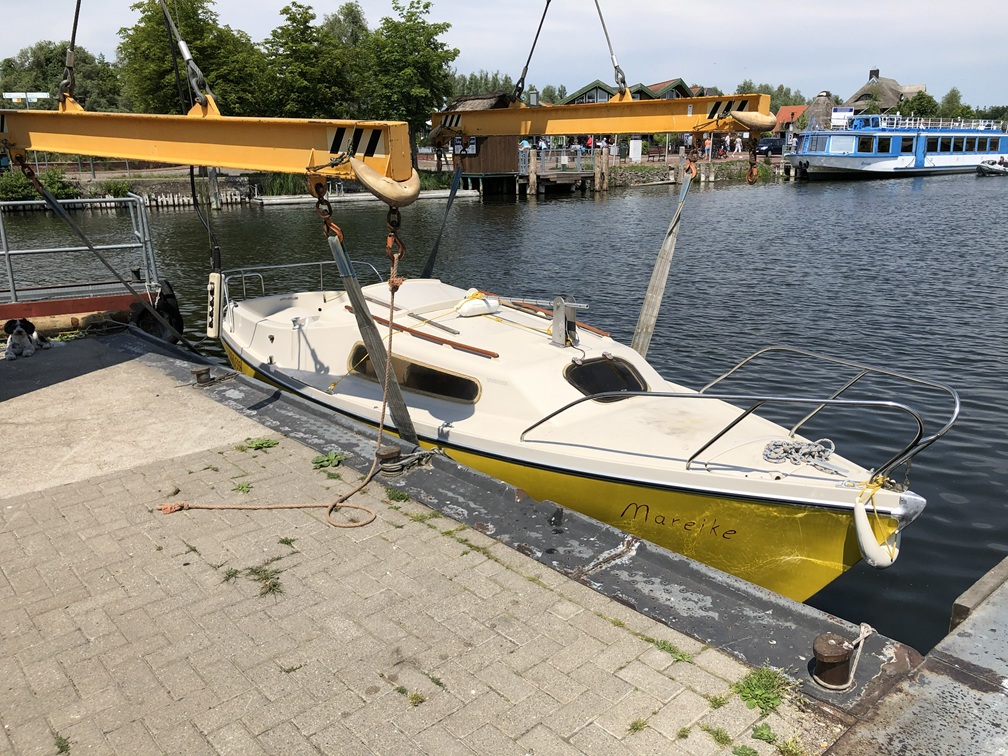 sie schwimmt